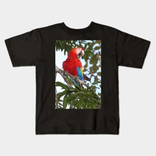 Scarlet Macaw Kids T-Shirt